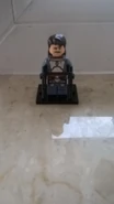 Henryk (autor: Henio z Tesco)