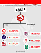 Liga Top Eleven Indonesia league system