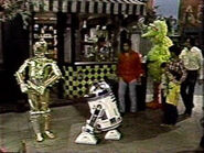 SS-1364-S2.jpg (29 KB)