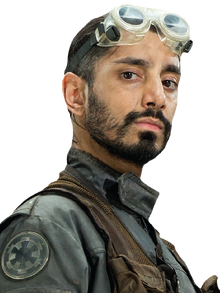 Bodhi Rook Fathead