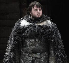 Sam Tarly - Son