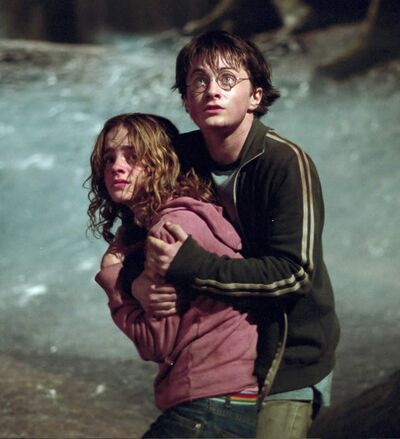 Harry and Hermione4