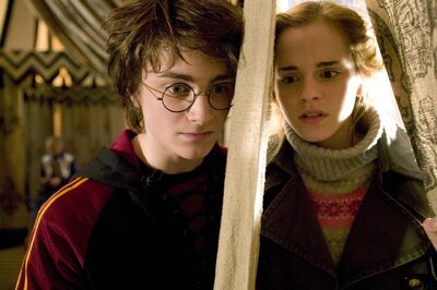 Harry and Hermione1