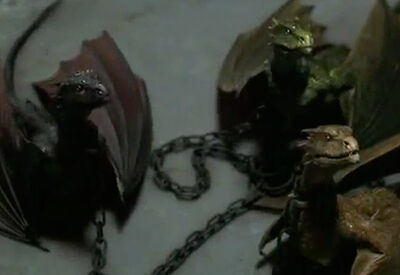 Baby Dragons.jpg