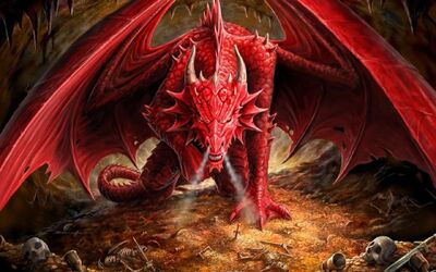 Red-Dragons