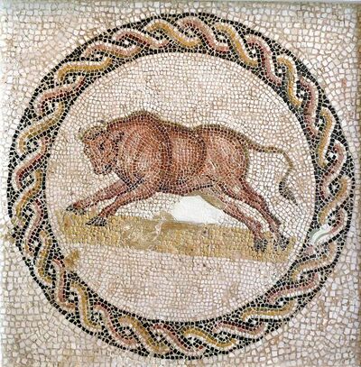 House Crassus.jpg