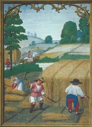 Farming in Lucerne.jpg