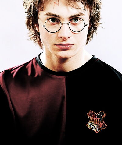 Harry Potter Large