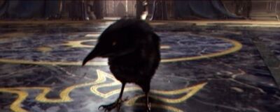 Medivh Crow.jpg