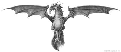 Grey Dragon