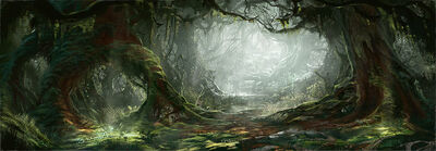 High Forest1