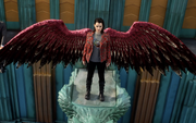 Rory's red wings with blade feathers