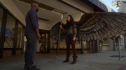 Huntress wings