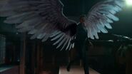 Lucifer's wings Season 6 (1)