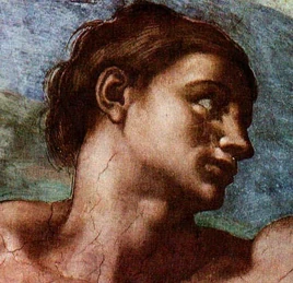 Adam-518x500