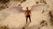 Lucifer's wings are a heavenly white which differs from all the other angels