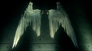 106 Lucifer's wings