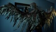 202 Amenadiel's wings decay