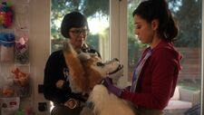 Azrael tags along on Ella's case