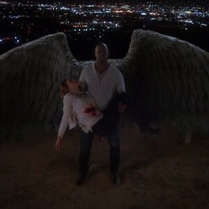 Amenadiel Lucifer Wiki Fandom Amenadiel is actually one of the only angels who is strong enough to take on lucifer as an equal. amenadiel lucifer wiki fandom