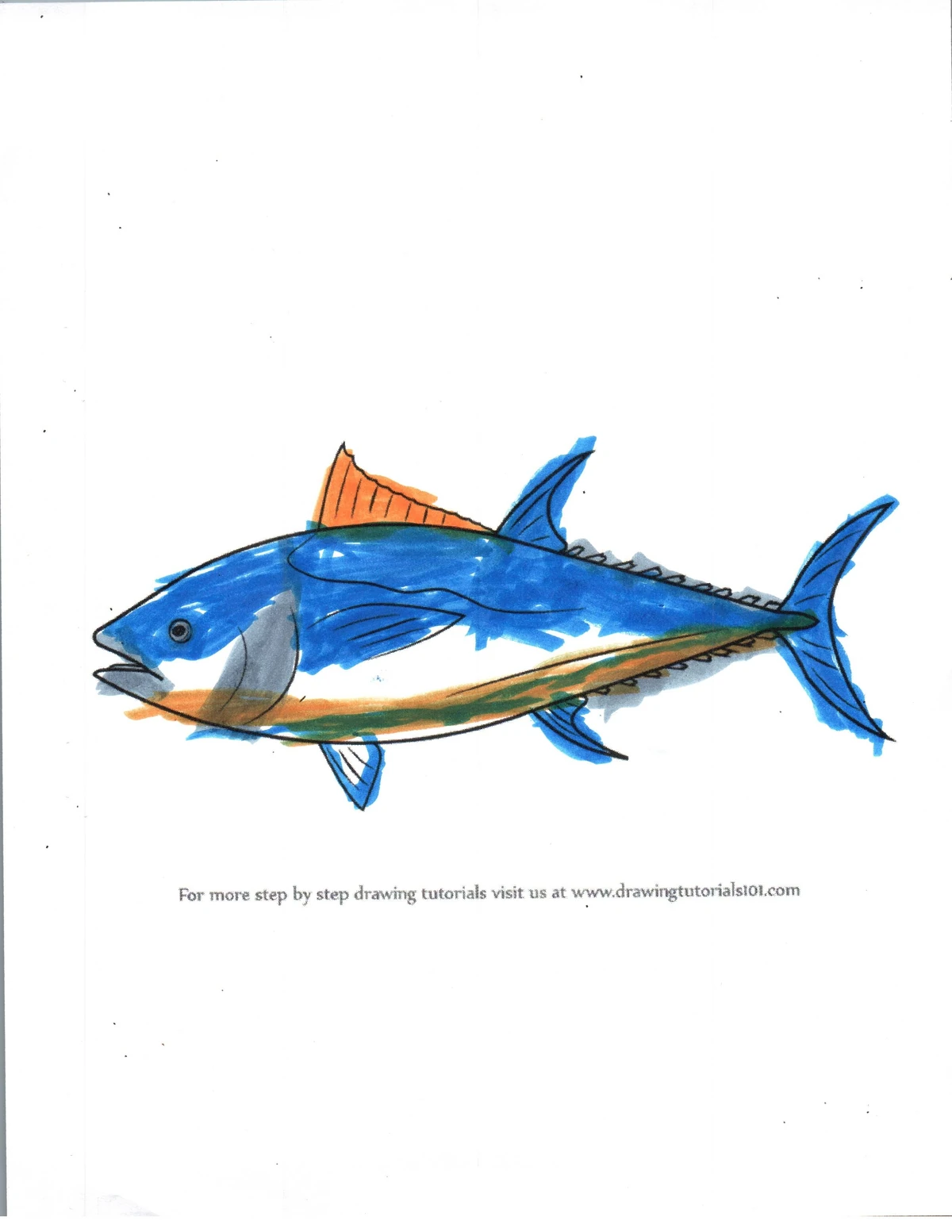 Blue fin tuna Luck dog Wiki Fandom