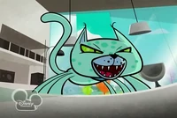 Felinus