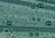 Insectospeludos