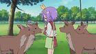 Tsukasa feeding deer