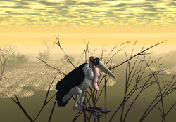 Marabou Stork Roblox Wild Savannah Wiki Fandom - roblox wild savannah how to catch fish