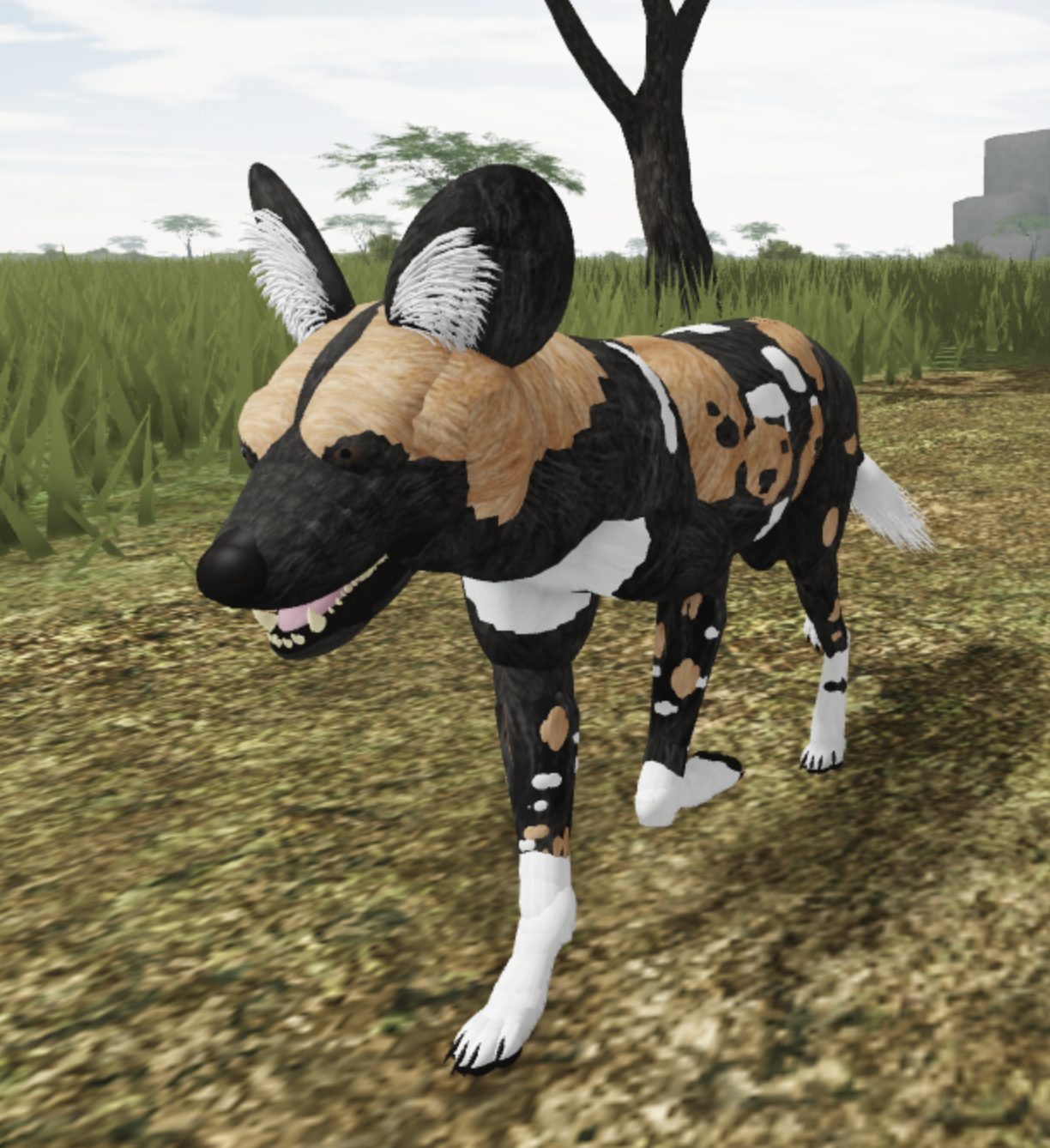 Painted Wolf Roblox Wild Savannah Wiki Fandom - roblox testing a