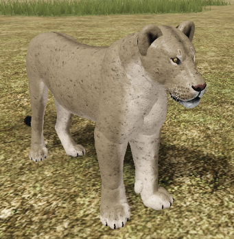 African Lion Roblox Wild Savannah Wiki Fandom - jogo de roblox wild savannah