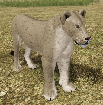 African Lion Roblox Wild Savannah Wiki Fandom - roblox wild savannah testing a