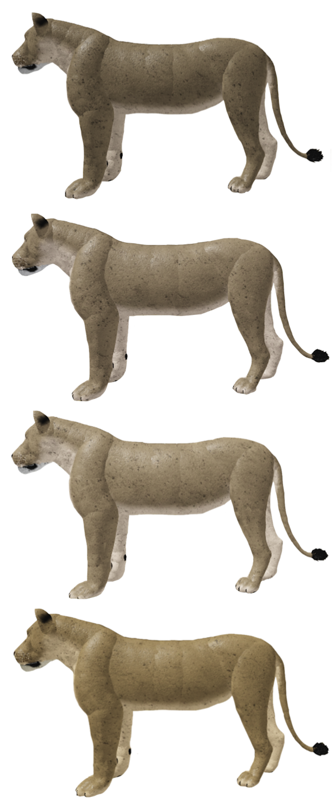African Lion Roblox Wild Savannah Wiki Fandom - wild savana roblox lion glitch