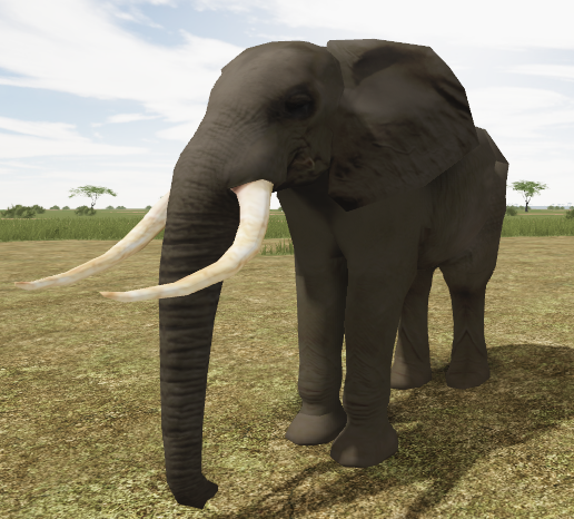 Bush Elephant Roblox Wild Savannah Wiki Fandom - wild savannah roblox