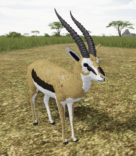 Thomson S Gazelle Roblox Wild Savannah Wiki Fandom - wild savannah roblox