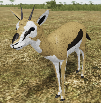 Thomson S Gazelle Roblox Wild Savannah Wiki Fandom - testing a roblox controls