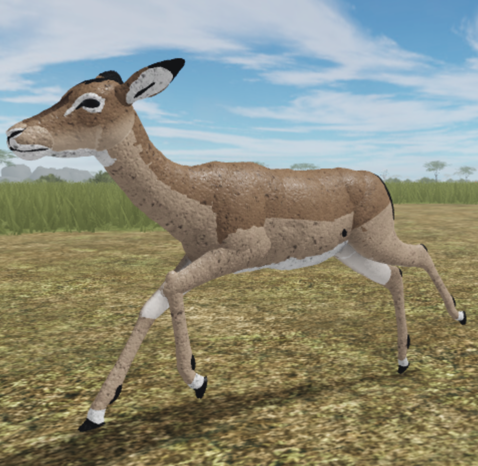 Impala Roblox Wild Savannah Wiki Fandom - wild savanna roblox impala horn
