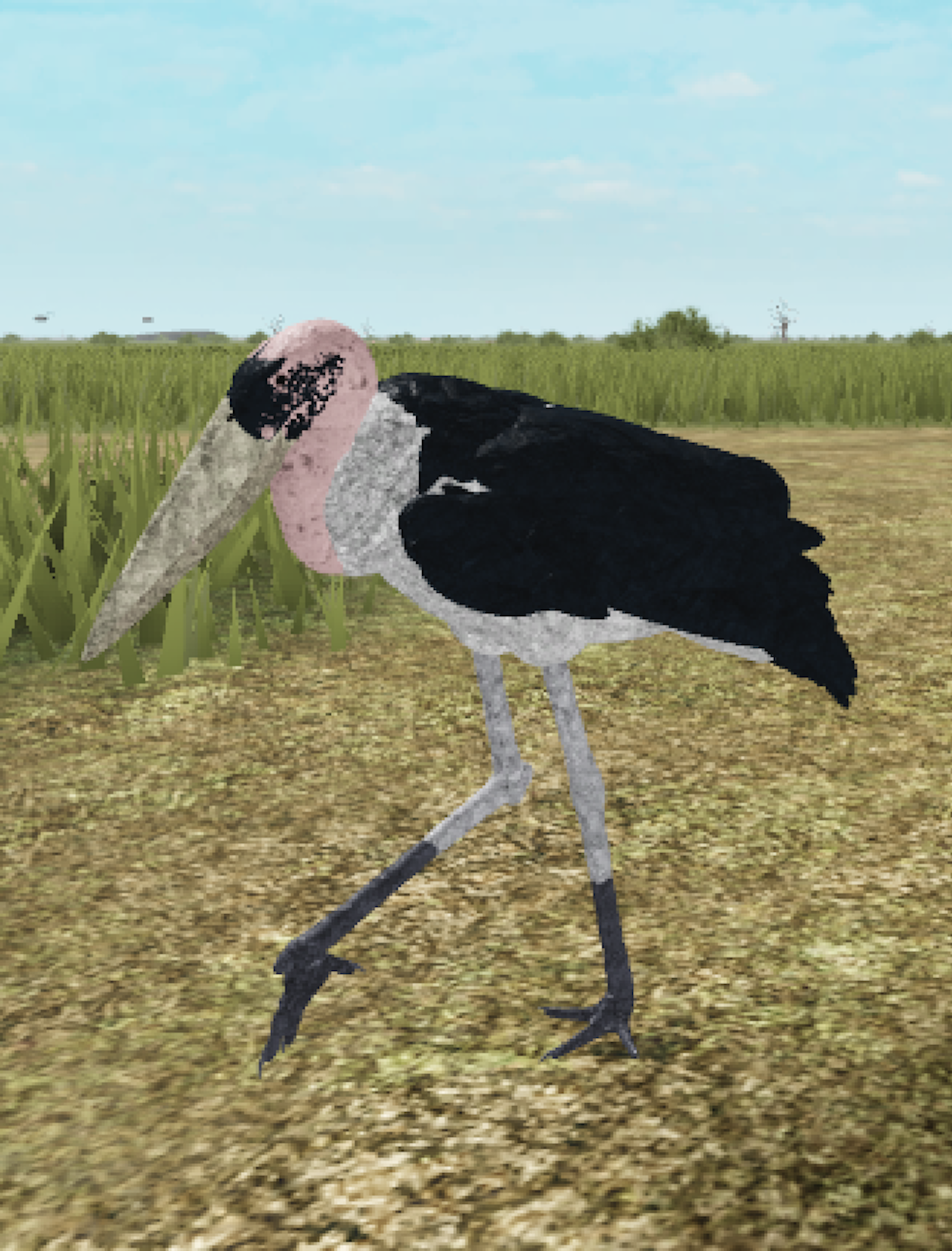 Marabou Stork Roblox Wild Savannah Wiki Fandom - roblox wild savannah how to fly