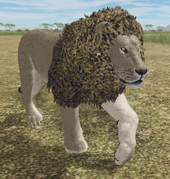 African Lion Roblox Wild Savannah Wiki Fandom - roblox wild savannah testing a