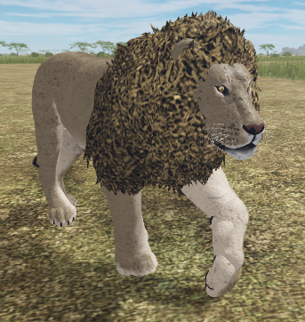 African Lion Roblox Wild Savannah Wiki Fandom - roblox wild savannah wiki fandom wild savannah roblox African Lion Roblox Wild Savannah Wiki Fandom - wild savannah roblox