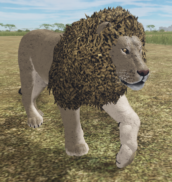 African Lion Roblox Wild Savannah Wiki Fandom - wild savannah roblox 2021