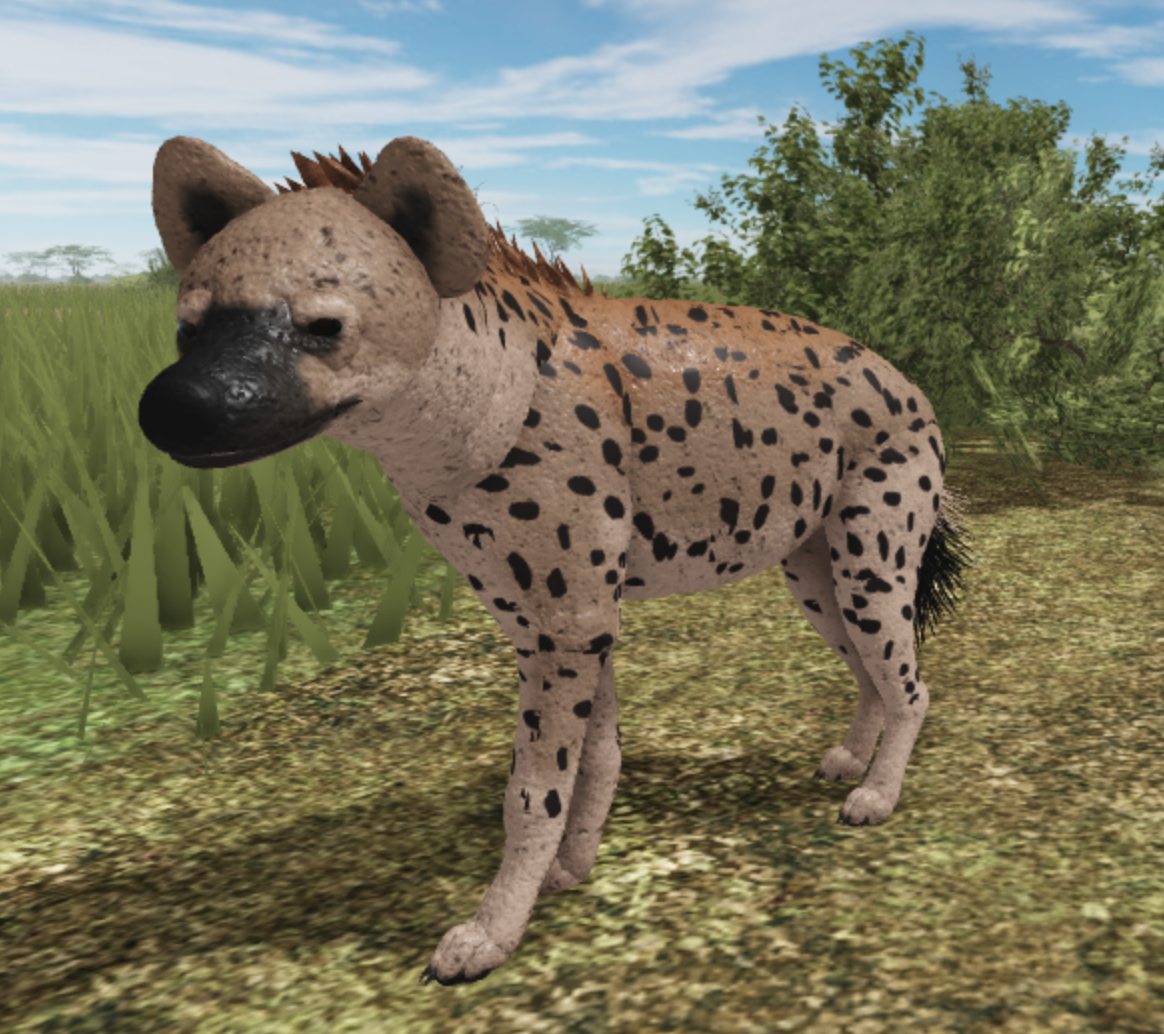 Spotted Hyena Roblox Wild Savannah Wiki Fandom - roblox realistic animals