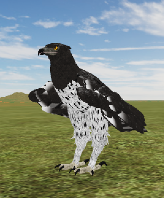 Martial Eagle Roblox Wild Savannah Wiki Fandom - hwo do grab animals in w.i.p roblox