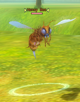 6-Honey Bee.png