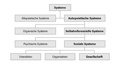 Systems Society.jpg
