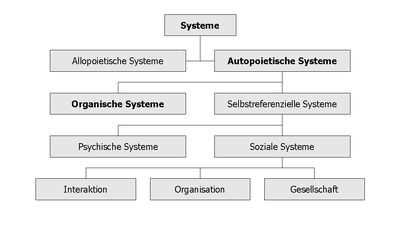 Systems Organism.jpg