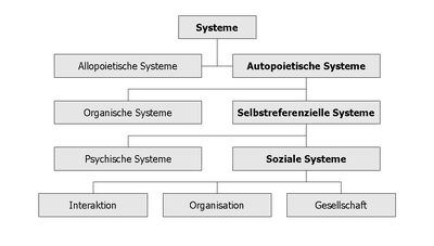 Systems Social.jpg