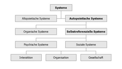 Systems Sinn