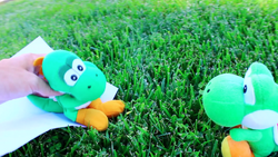 ドッグフード Yoshi 1392-