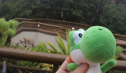 Yoshi | Luigifan00001 Wikia | Fandom